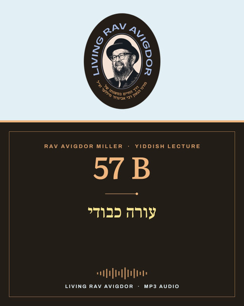 Rav Avigdor Miller MP3 lecture cover
