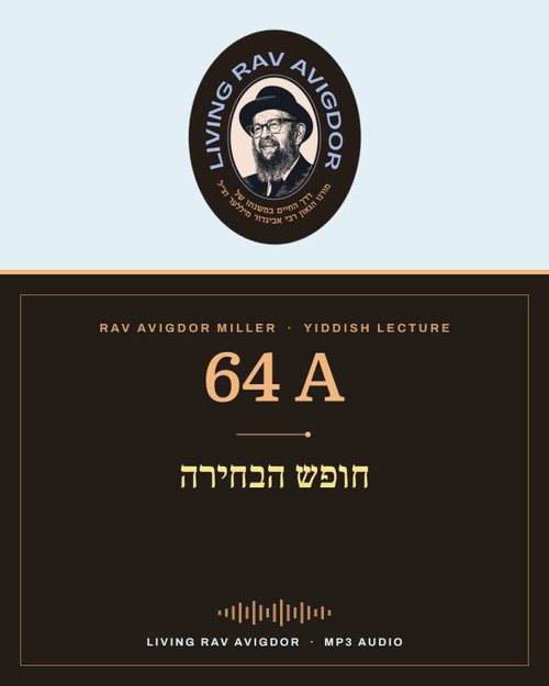 Rav Avigdor Miller MP3 lecture cover