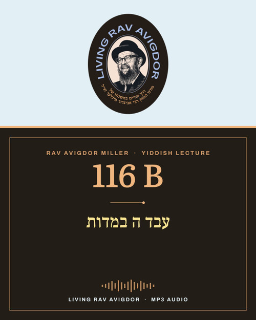 Rav Avigdor Miller MP3 lecture cover