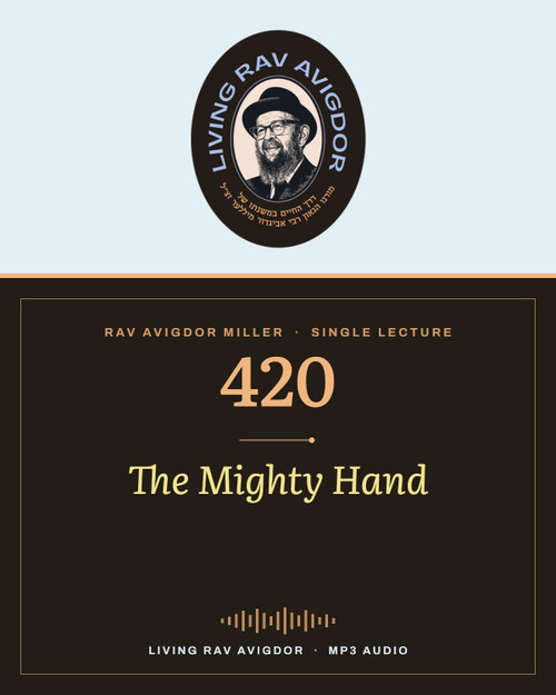 Rav Avigdor Miller MP3 lecture cover