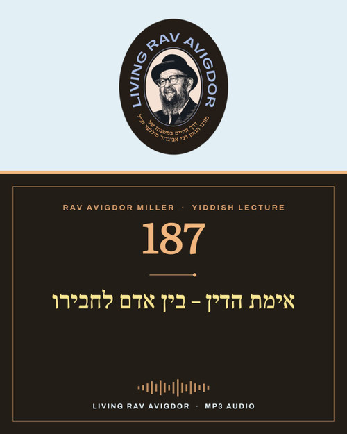 Rav Avigdor Miller MP3 lecture cover