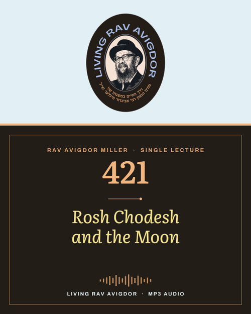 Rav Avigdor Miller MP3 lecture cover