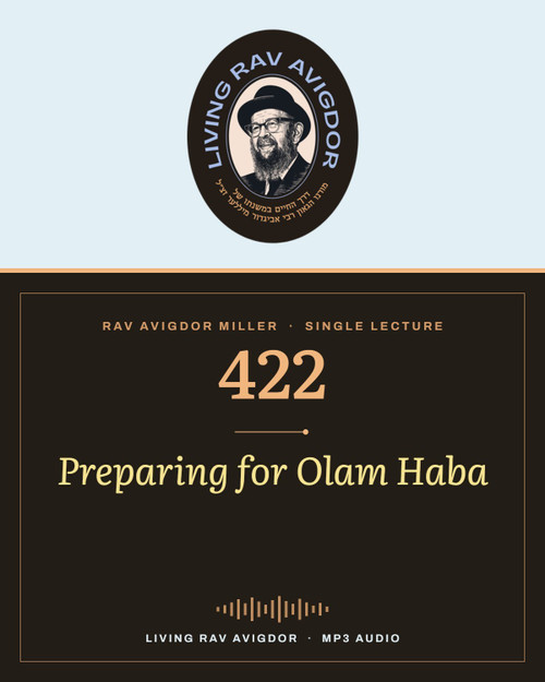 Rav Avigdor Miller MP3 lecture cover