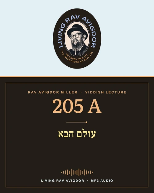 Rav Avigdor Miller MP3 lecture cover