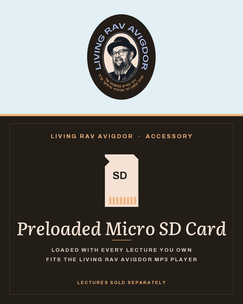 Preloaded Micro SD Card – Living Rav Avigdor