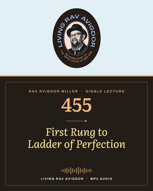 Rav Avigdor Miller MP3 lecture cover