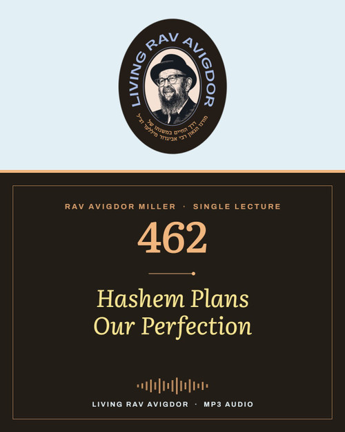 Rav Avigdor Miller MP3 lecture cover