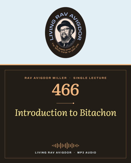 Rav Avigdor Miller MP3 lecture cover