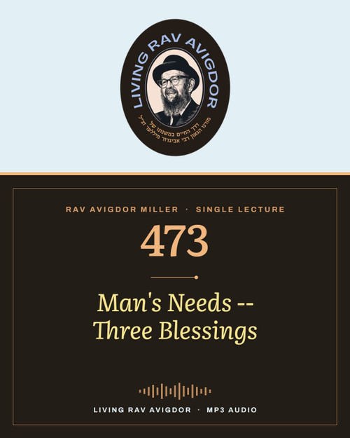 Rav Avigdor Miller MP3 lecture cover