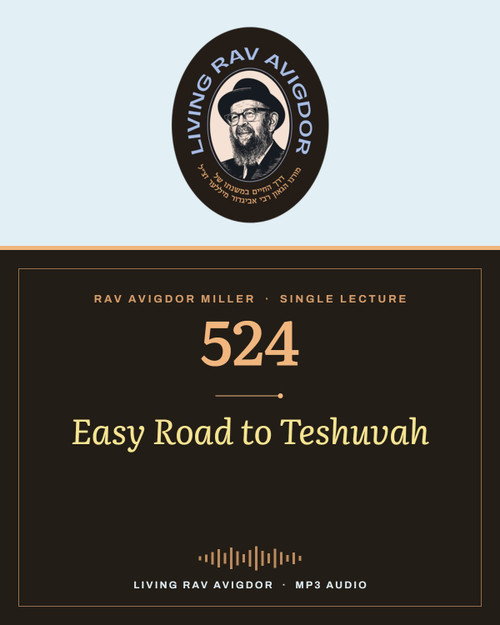 Rav Avigdor Miller MP3 lecture cover
