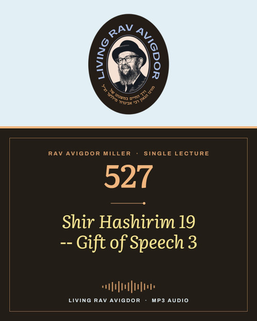 Rav Avigdor Miller MP3 lecture cover