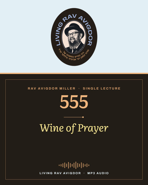 Rav Avigdor Miller MP3 lecture cover