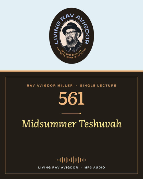 Rav Avigdor Miller MP3 lecture cover