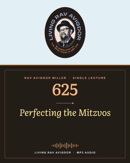 Rav Avigdor Miller MP3 lecture cover