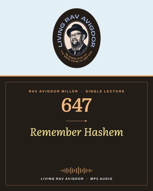 Rav Avigdor Miller MP3 lecture cover