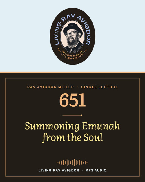 Rav Avigdor Miller MP3 lecture cover