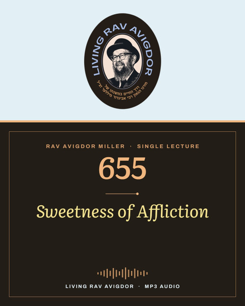 Rav Avigdor Miller MP3 lecture cover