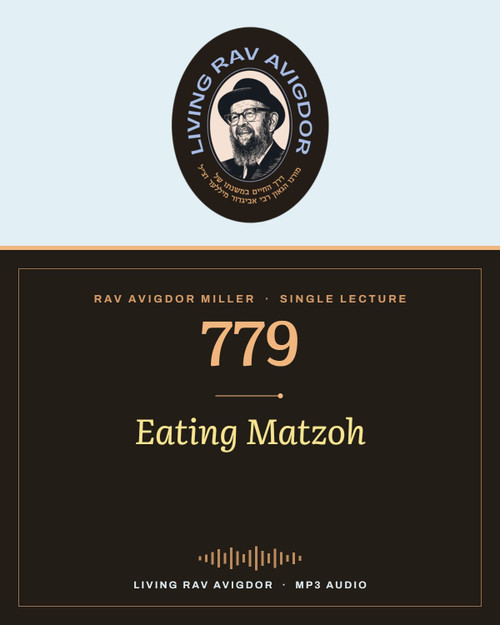 Rav Avigdor Miller MP3 lecture cover