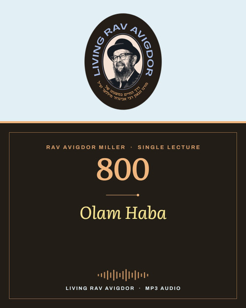 Rav Avigdor Miller MP3 lecture cover