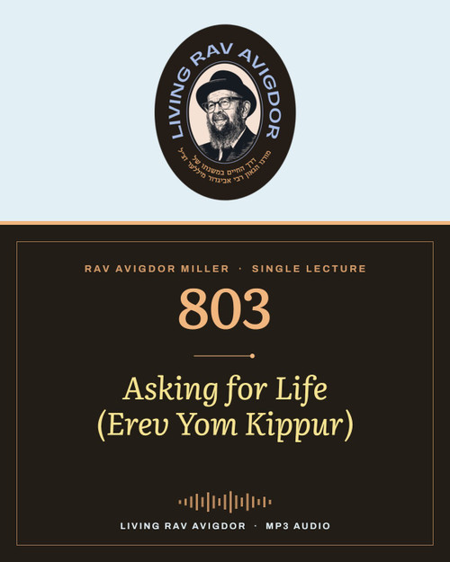 Rav Avigdor Miller MP3 lecture cover