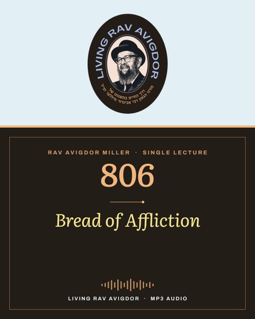 Rav Avigdor Miller MP3 lecture cover