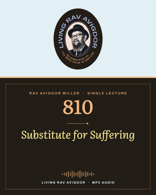 Rav Avigdor Miller MP3 lecture cover