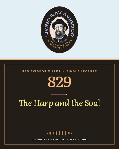 Rav Avigdor Miller MP3 lecture cover
