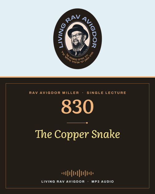 Rav Avigdor Miller MP3 lecture cover