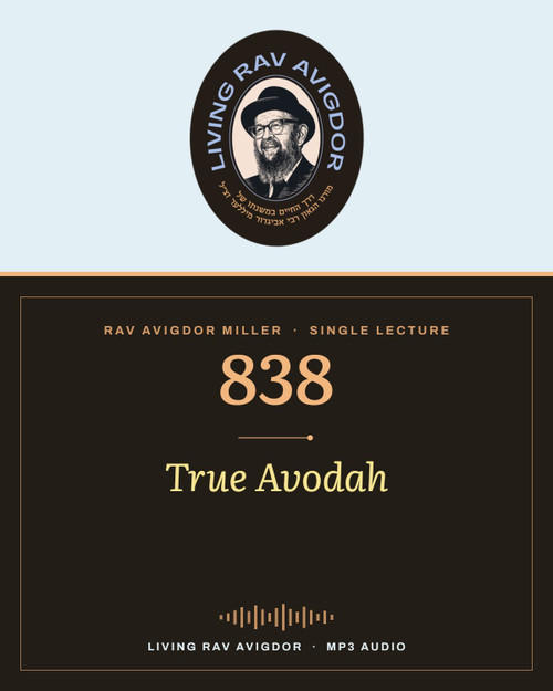 Rav Avigdor Miller MP3 lecture cover