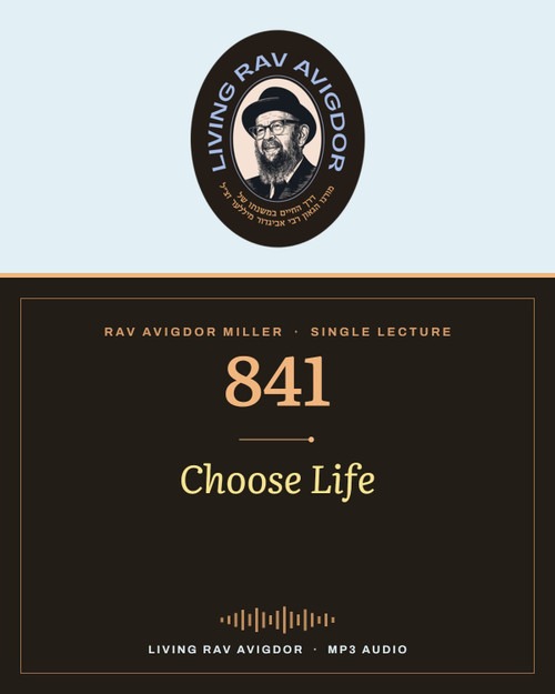 Rav Avigdor Miller MP3 lecture cover