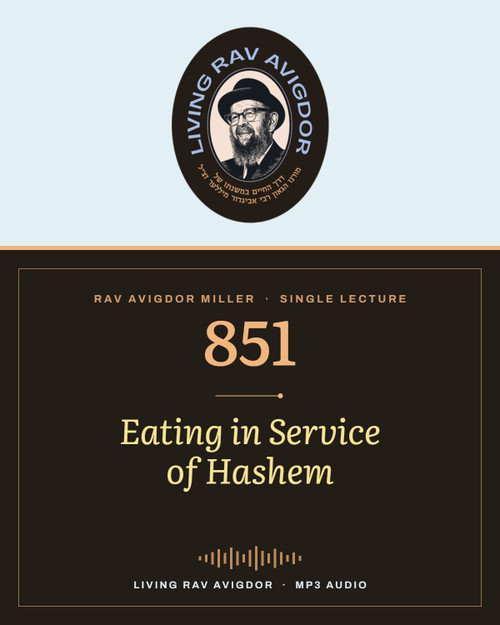 Rav Avigdor Miller MP3 lecture cover