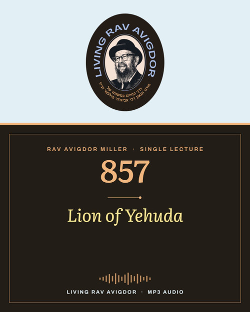 Rav Avigdor Miller MP3 lecture cover