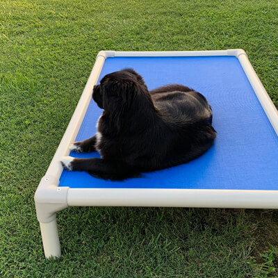 Kuranda Dog Beds Chew Proof Dog Beds