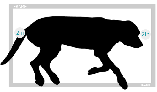 Sleep Size Example