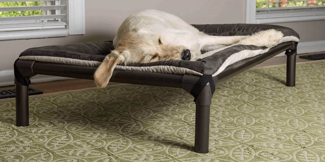 dog bed made out of coffee table