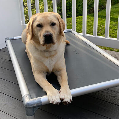 Kuranda Dog Beds® Elevated, Chew Proof, Easy to Clean