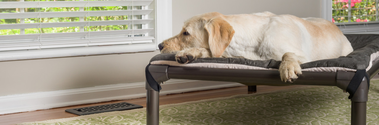 kuranda xl dog bed