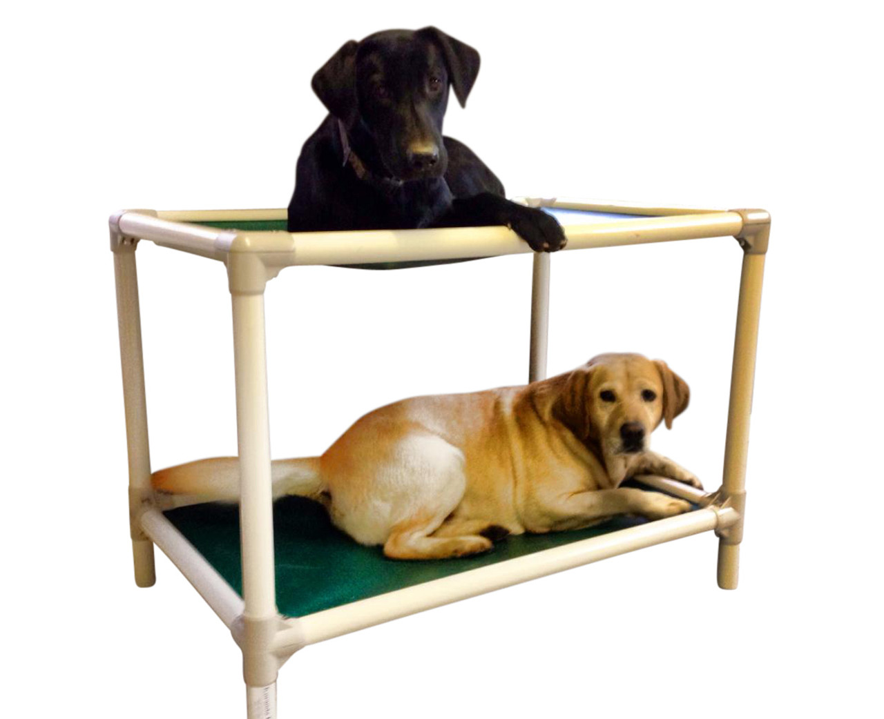 Standard Dog Bunk Bed Kuranda Dog Beds