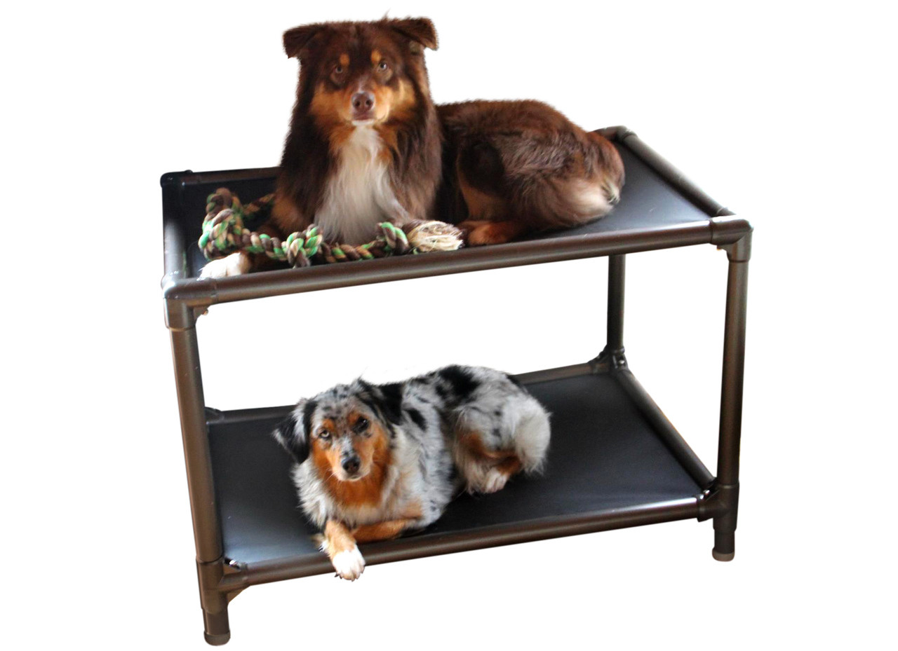 Walnut Dog Bunk Bed Kuranda Dog Beds