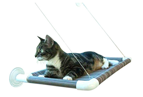 kitty cot suction cups