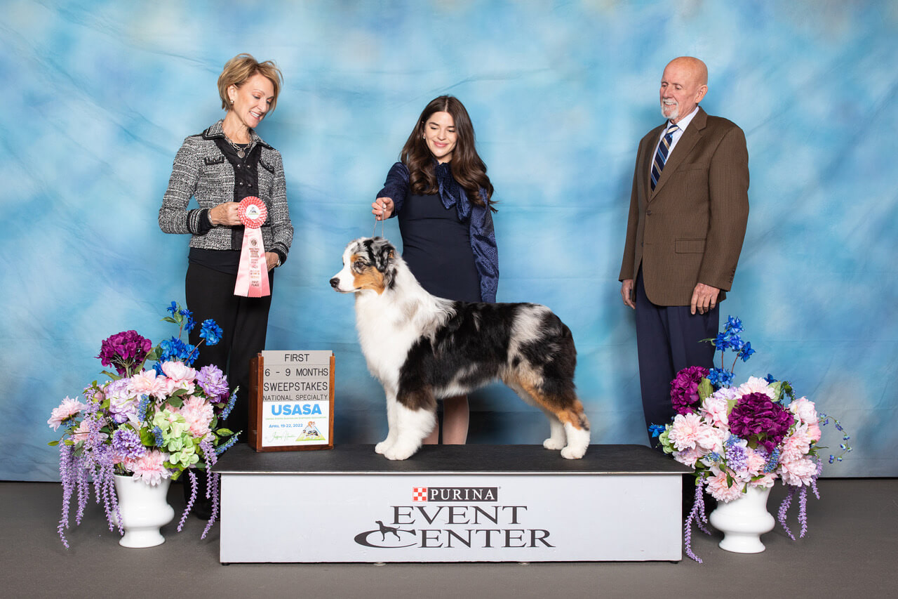 Kuranda Dog Beds visits Kaylene Scotton at Harmony Hill Australian