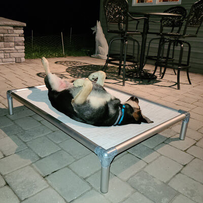 Kuranda® Elevated, Indestructible & Large Dog Beds