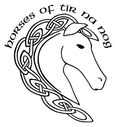 Shelter Shout Out: Horses of Tir Na Nog