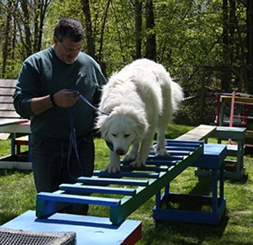 
    Dog Trainer Vince Rambala
