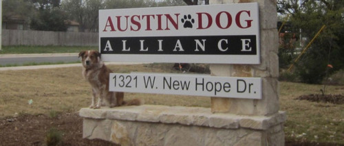 
    Austin Dog Alliance Teams Up Dogs Who Need Homes With People Who Need Help
