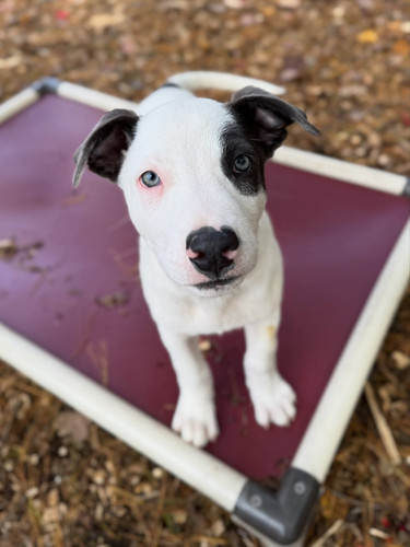 Shelter Shout Out: Shultz’s Guest House