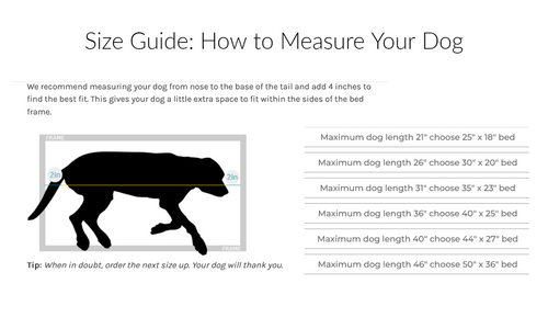 
    A Guide to Choosing the Right Kuranda Dog Bed Size
