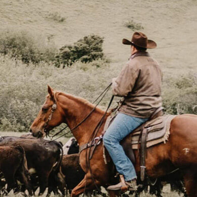 Dan Russell Hearst Ranch