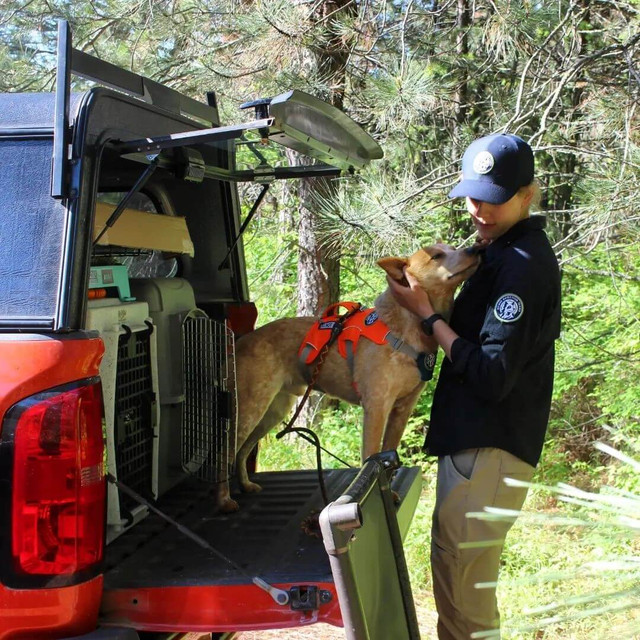 Woman and dog at truck