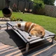 A dog sitting on a Kuranda Bed